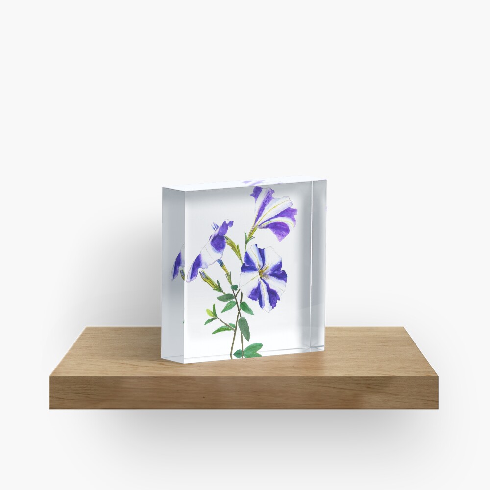 purple petunia Acrylic Block