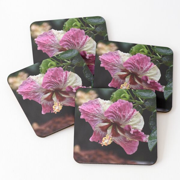 Item preview, Portrait of a Hibiscus designed and sold by RoxanneG.