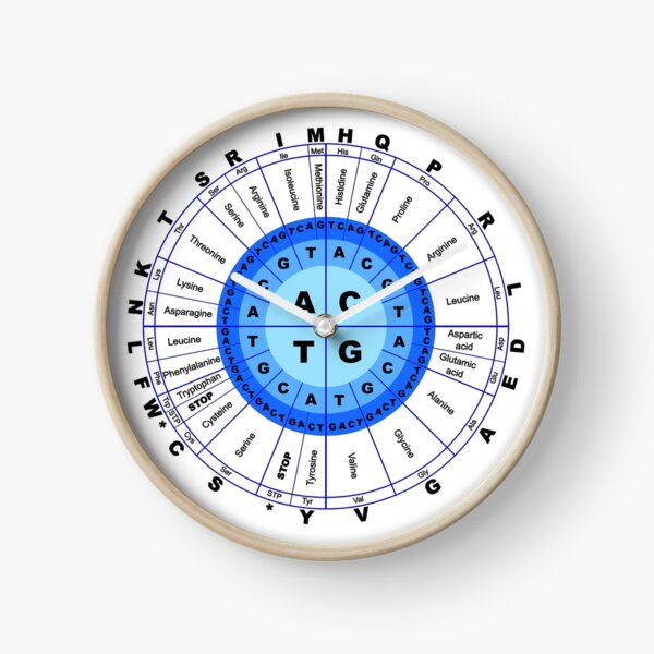 DNA, Genetic Code, Circle, Gene, Codon, Amino Acid. Clock