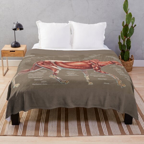 Item preview, Machairodus Aphanistus Muscle Study designed and sold by Thedragonofdoom.