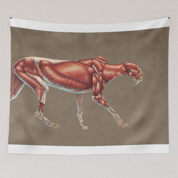 Item preview, Machairodus Aphanistus Muscle Study (No Labels) designed and sold by Thedragonofdoom.