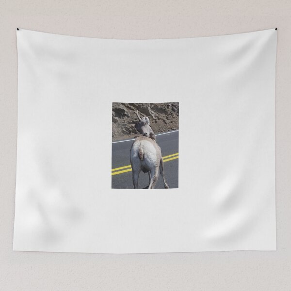 Item preview, Mind if I scratch? designed and sold by May Lattanzio.