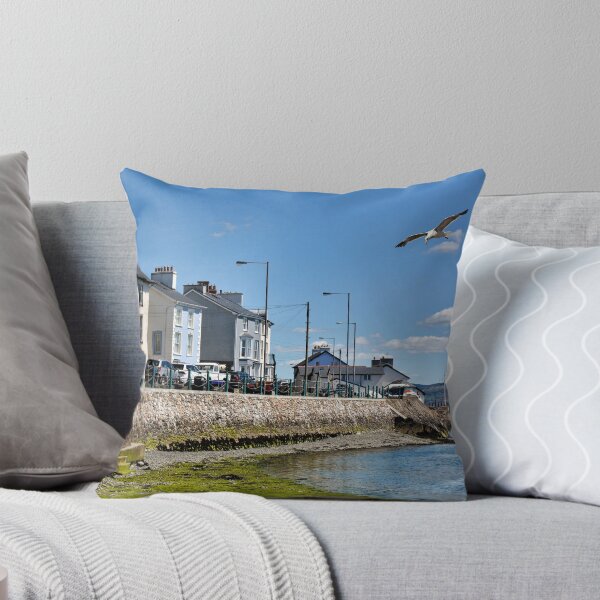 Item preview, Part of Aberdovey sea front designed and sold by Frank  Irwin.