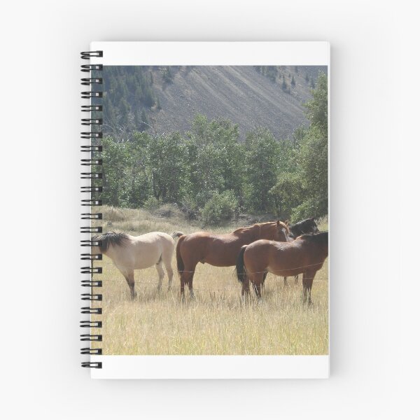 Item preview, Outfitter's string designed and sold by May Lattanzio.