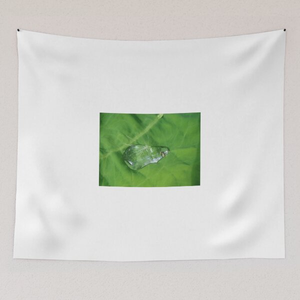 Item preview, Trapped! designed and sold by May Lattanzio.