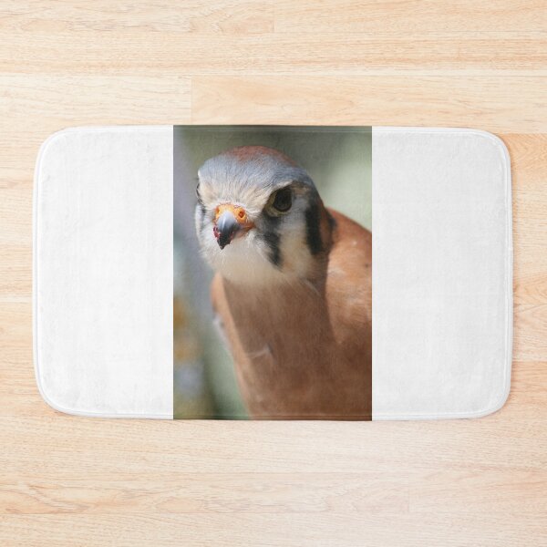 Item preview, SparrowHawk...A Curious Kestrel designed and sold by RichImage.