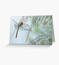Summertime Friends Greeting Card