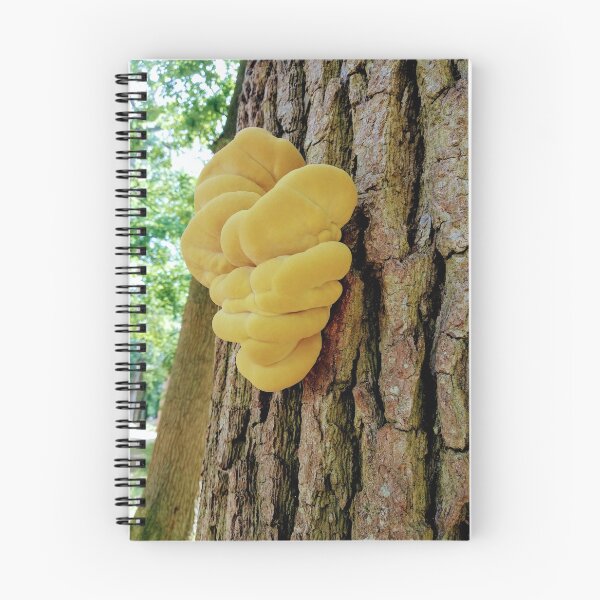 Item preview, Sulfur mushroom  designed and sold by Ioka.