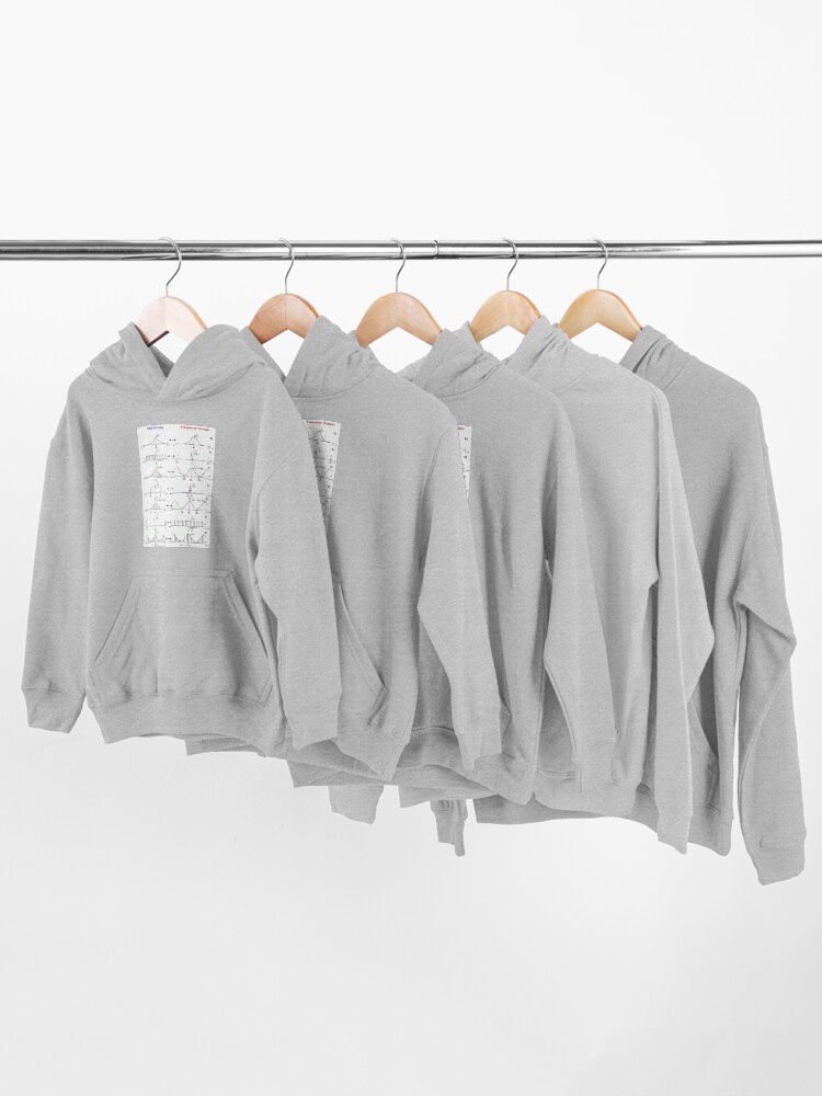 Alternate view of #Discrete #Fourier #Transform. #Diagram, graph, formula, chalk out, illustration, physics, graph plot, symbol, guidance, draft, sketch, science, research, scientific experiment Kids Pullover Hoodie