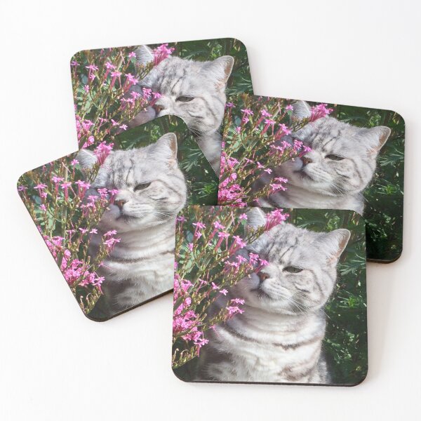 Item preview, molly kin’s.   “Sniff Sniff”  designed and sold by Angela Haig-Harrison.