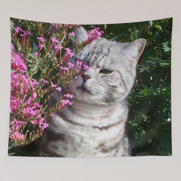 Item preview, molly kin’s.   “Sniff Sniff”  designed and sold by Angela Haig-Harrison.