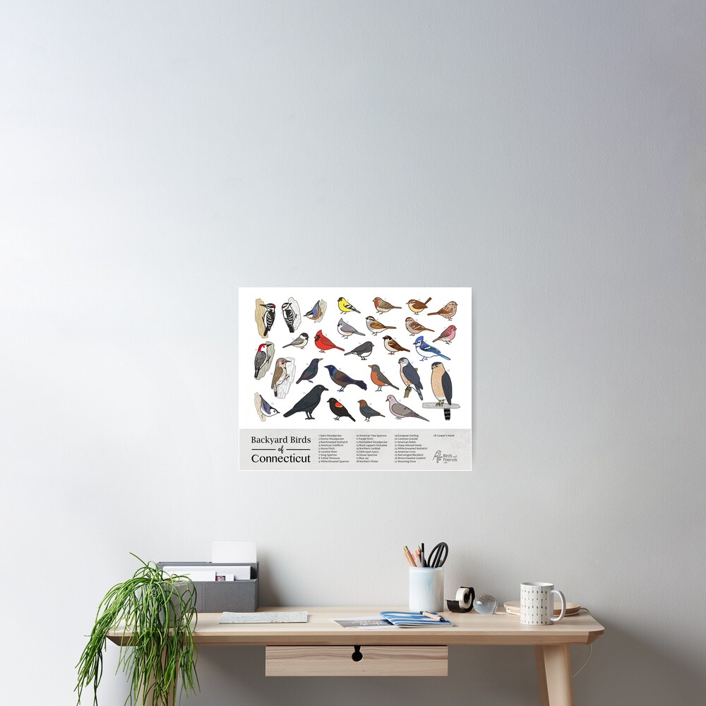 "Connecticut - Backyard Birds of Connecticut Field Guide Print - Bird