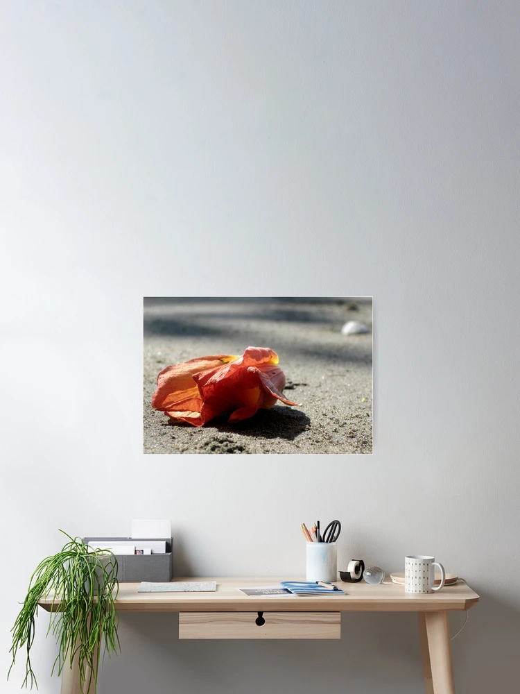 Thumbnail 2 of 3, Poster, Red Flower Fallen designed and sold by Jessica Schoepen.