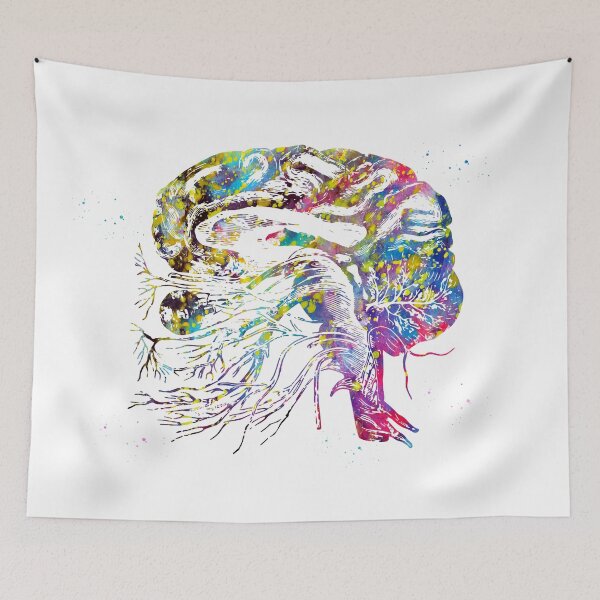 Item preview, Brain cranial nerves designed and sold by Liededrom..