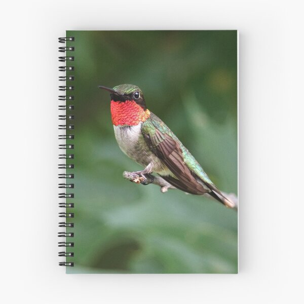 Item preview, Ruby Throated Hummingbird designed and sold by WorldDesign.