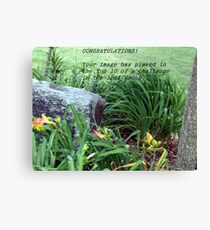 TOP TEN WINNER Canvas Print