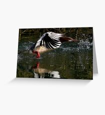 Flight Of The Goosander Greeting Card