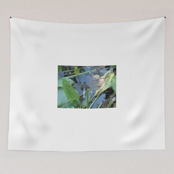 Item preview, Blue Dasher on Pickerel Weed designed and sold by May Lattanzio.