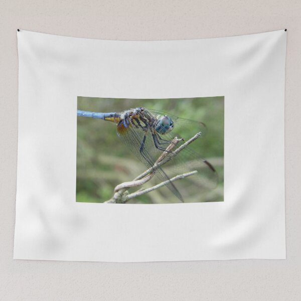 Item preview, Blue Dasher designed and sold by May Lattanzio.