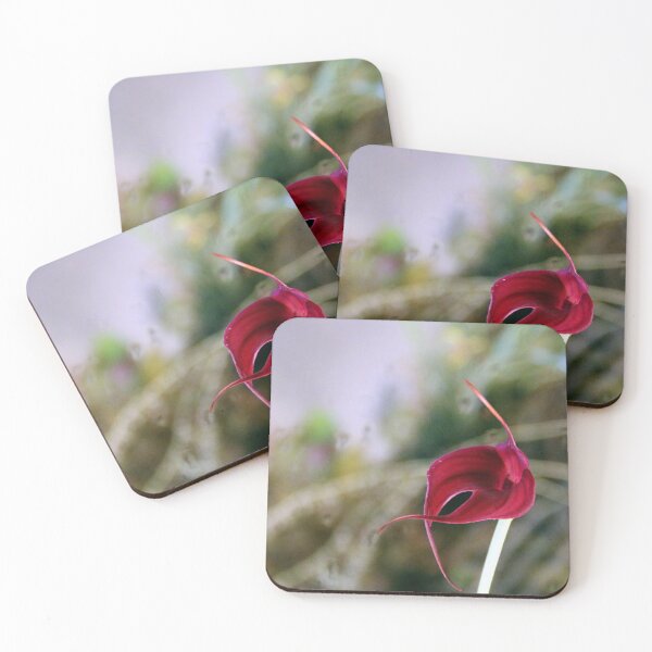 Item preview, A Misty Masdevallia designed and sold by Michael May.