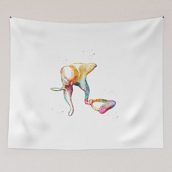 Item preview, Ear anatomy designed and sold by Liededrom..