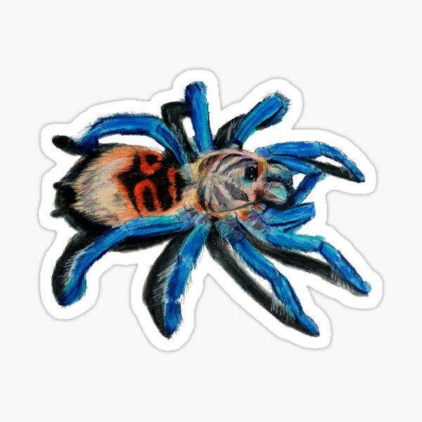 Item preview, Green Bottle Blue Tarantula designed and sold by brandydevoid.