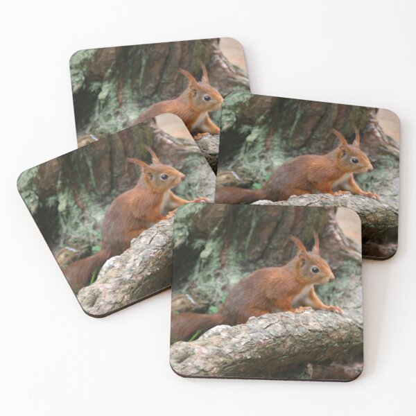 Item preview, Red Squirrel, May 2019 designed and sold by RedHillDigital.