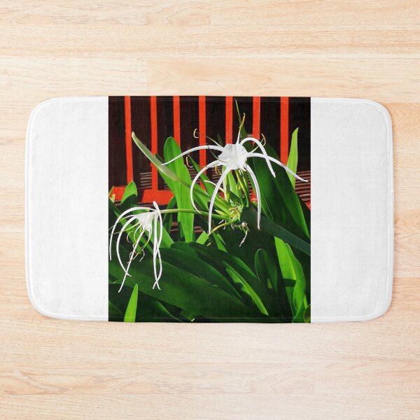 Item preview, Spider Plant designed and sold by vette.