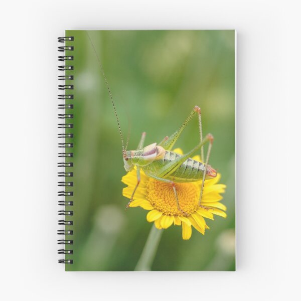 Item preview, Grasshopper designed and sold by tuzlay.