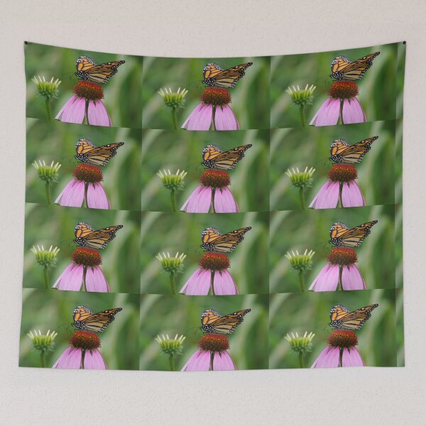 Item preview, softly landing on an echinacea flower designed and sold by Clare Colins.