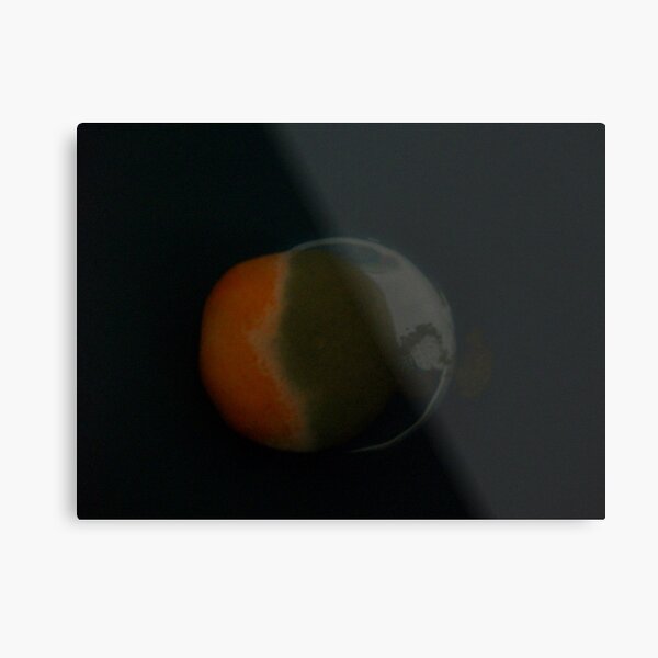 *See You on the Dark Side of the Moon...* Metal Print