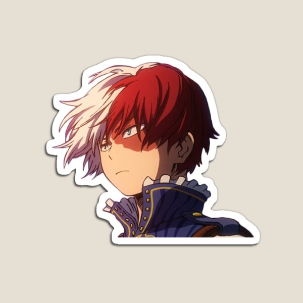 shoto Magnet