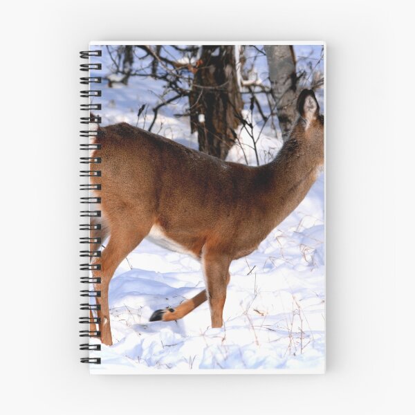 Item preview, Whitetail Doe designed and sold by Larry Trupp.