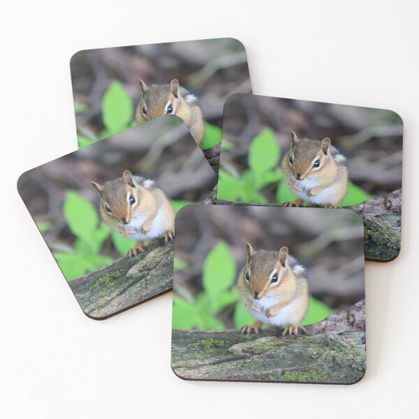 Item preview, Curious Lil Fellow designed and sold by Chris Coates Photography.com.