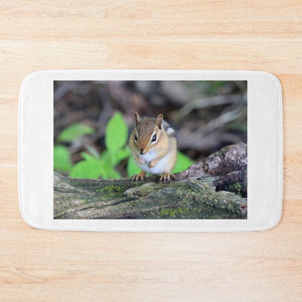 Item preview, Curious Lil Fellow designed and sold by Chris Coates Photography.com.