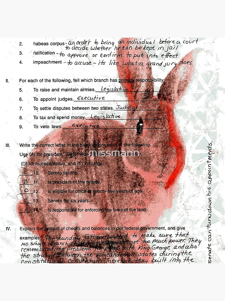 Thumbnail 4 of 4, Pillow, Test Rabbit designed and sold by missmann.
