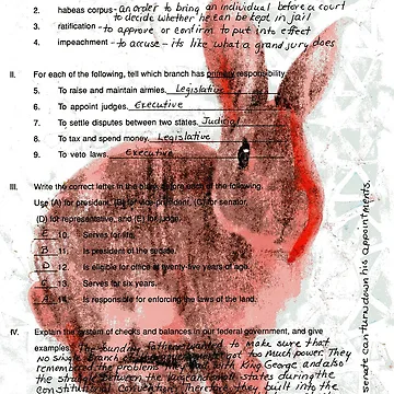 Artwork thumbnail, Test Rabbit by missmann