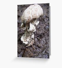 appealing Greeting Card