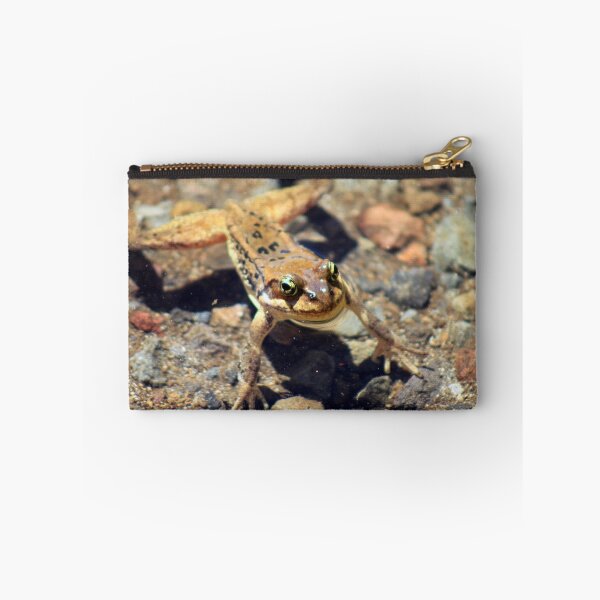 Item preview, Speckled Frog designed and sold by KHartmann.