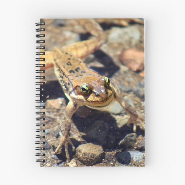 Item preview, Speckled Frog designed and sold by KHartmann.