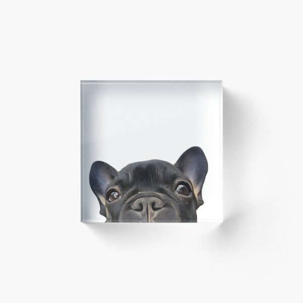 French Bulldog Acrylic Block