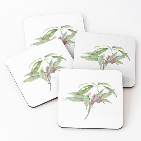 Item preview, Star Anise Botanical Illustration designed and sold by eronel.