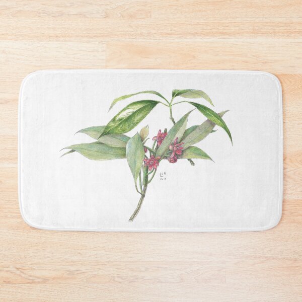Item preview, Star Anise Botanical Illustration designed and sold by eronel.