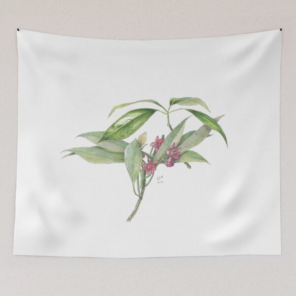 Item preview, Star Anise Botanical Illustration designed and sold by eronel.