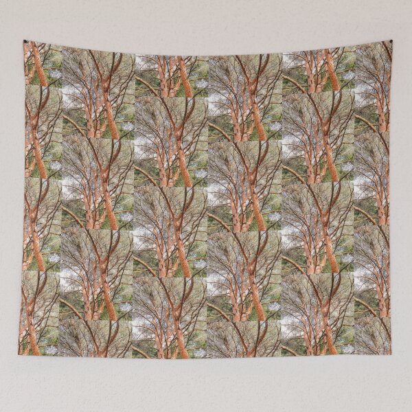 Item preview, Countryside, Lakes & Forest C171 designed and sold by Hyperion Photoart.