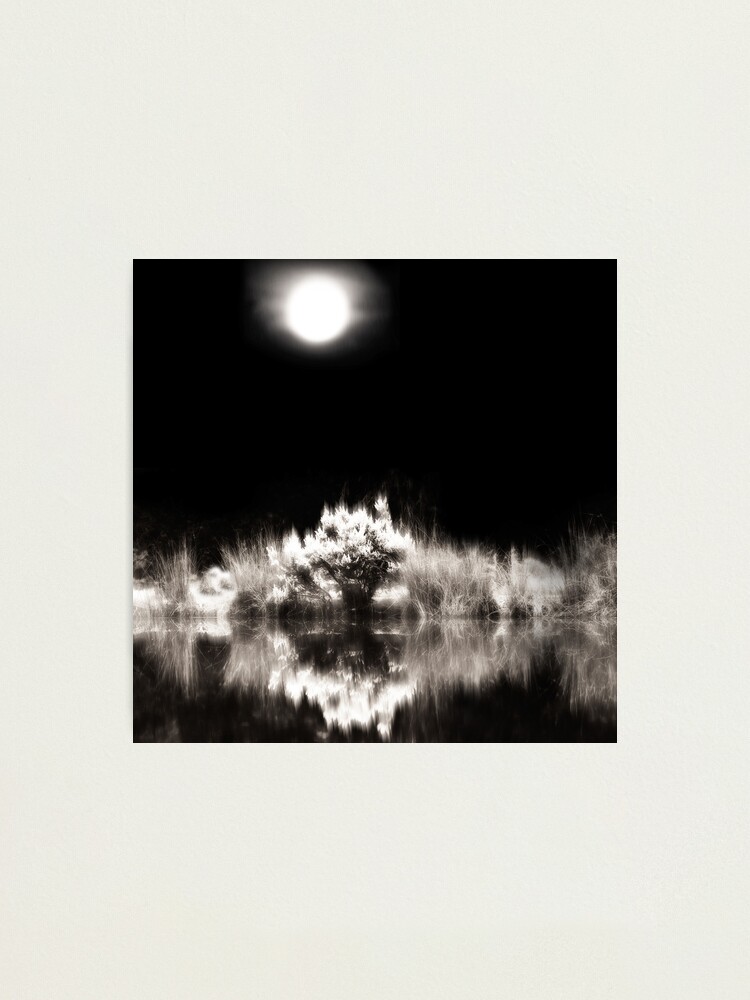 Alternate view of Into The World - Image Only Photographic Print