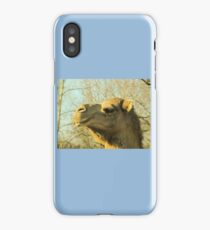 Aribian Camel iPhone Case