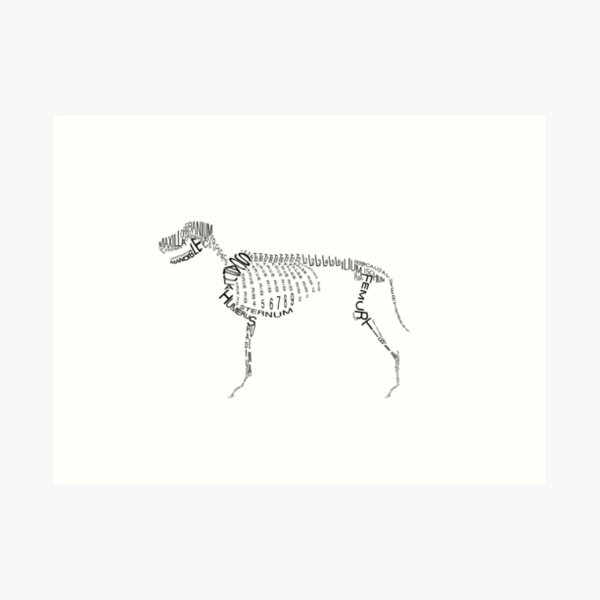 Typographic Dog Skeleton Art Print