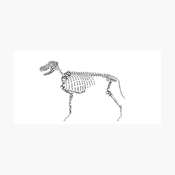 Typographic Dog Skeleton Photographic Print