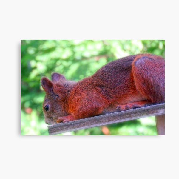I Am Just Going To Chill Now Canvas Print